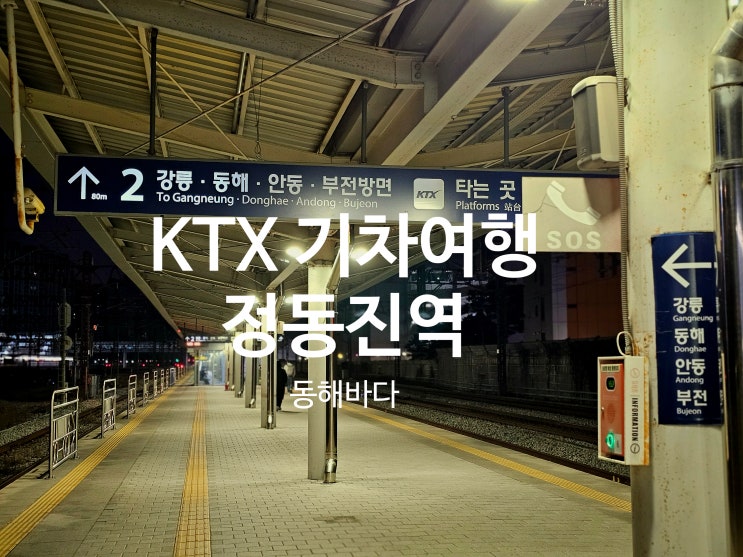  정동진역 KTX 여행 물품보관함 위치부터 이용 꿀팁까지