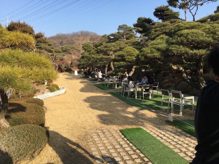  [청주]조경이 예쁜 대형 베이커리 카페. 공간