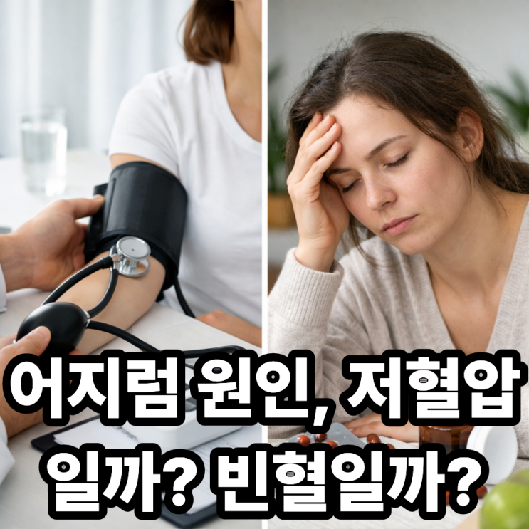  저혈압과 빈혈 차이, 헷갈리지 않는 구분법 완벽 정리