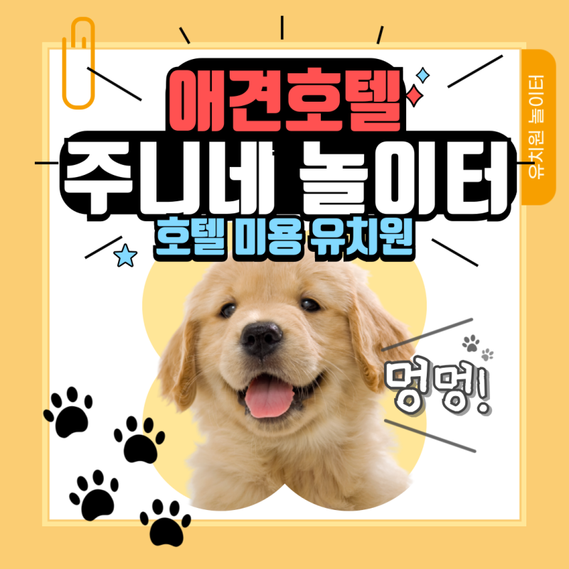주니네 놀이터