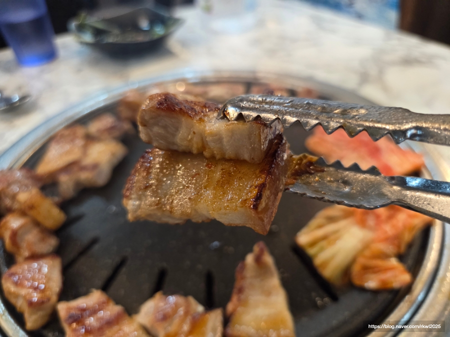 진또빼기 사진 3