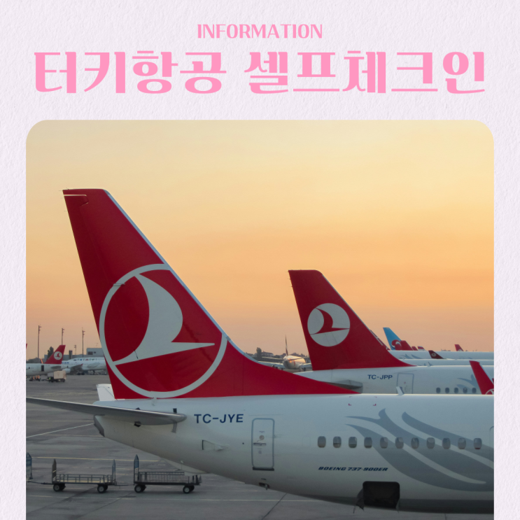  터키항공 앱 셀프체크인 방법 좌석 수하물