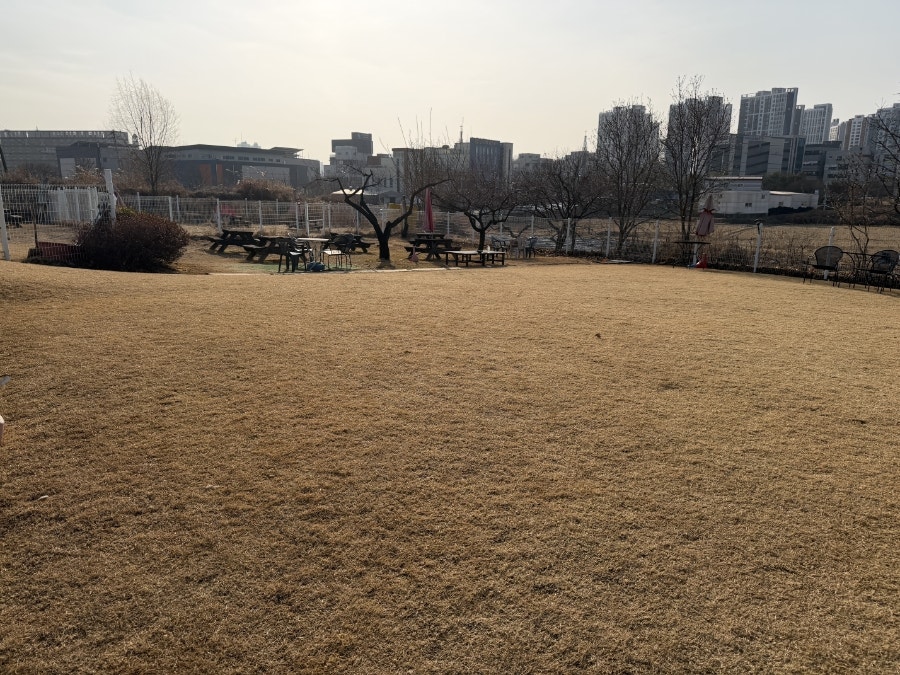 제이독 사진 2