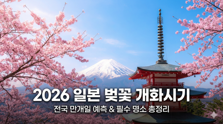  올봄 일본 벚꽃 언제가 최고? 2026 전국 개화 지도 & 항공권 예약 꿀팁