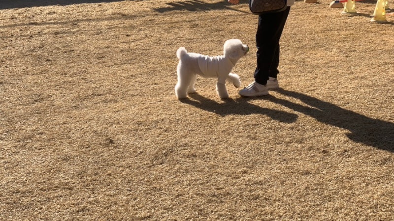 사진 5
