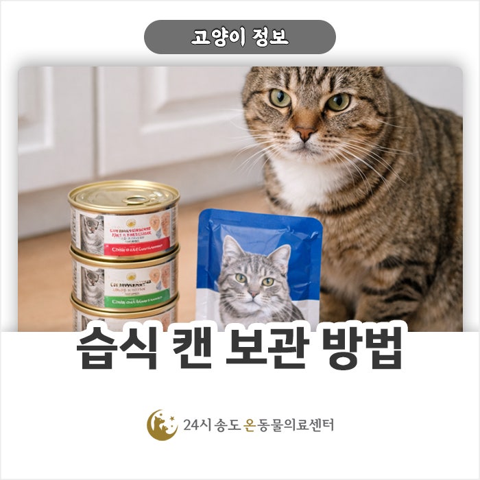 고양이 습식 캔 파우치 보관 방법