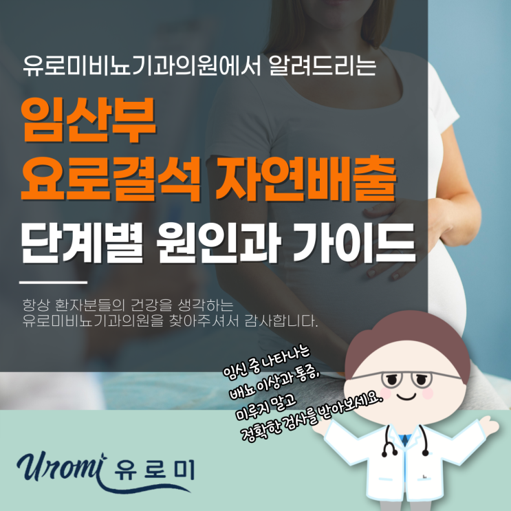  경기도 광주비뇨기과 임산부 요로결석 자연배출 가능할까? 단계별 원인과 관리 가이드