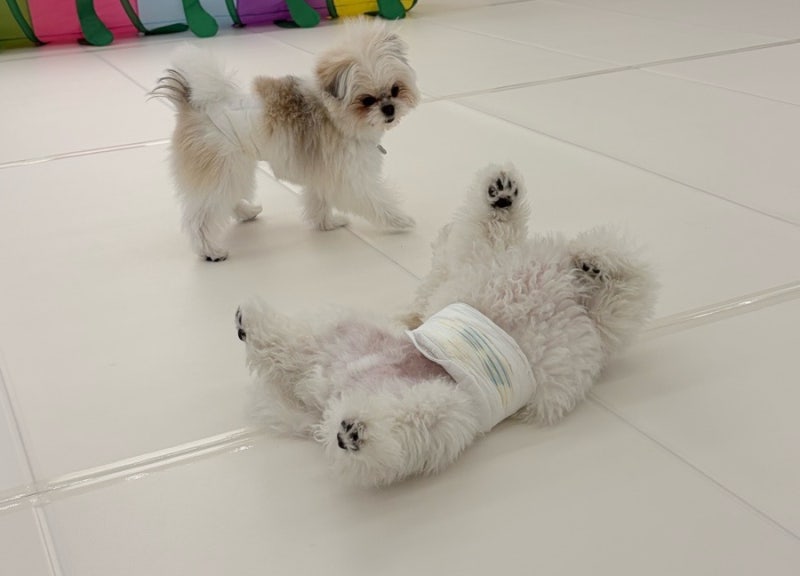 사진 9