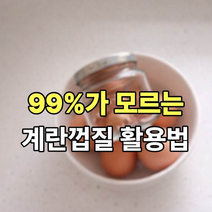  이걸 모르고 계란껍질을 버렸다고요? 몰랐던 계란껍질 살림 활용법