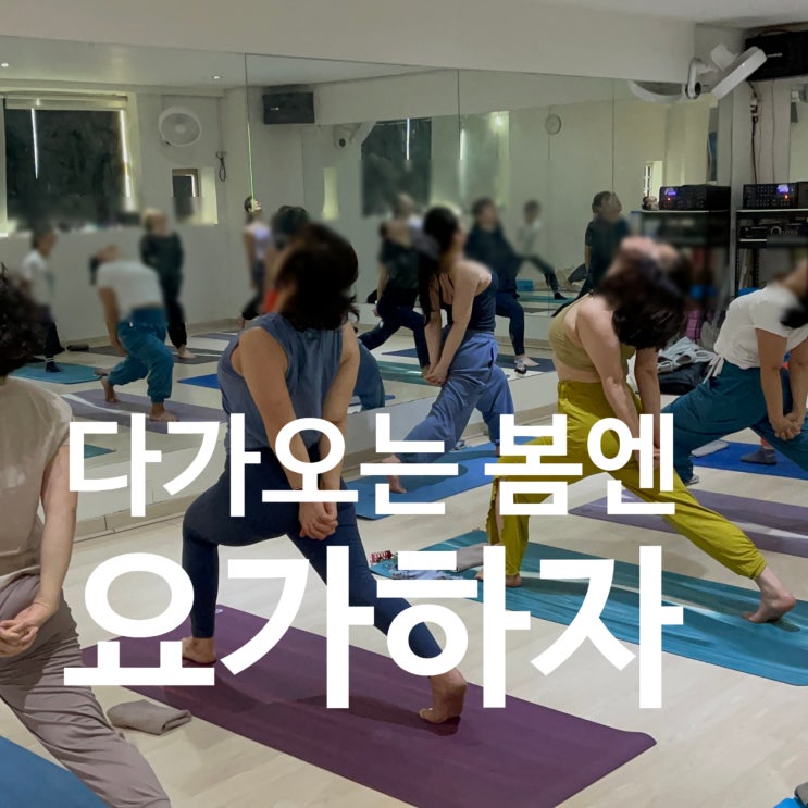  탄현 헬스장에서 느낀 요가의 힘, GX 빈야사 요가 후기