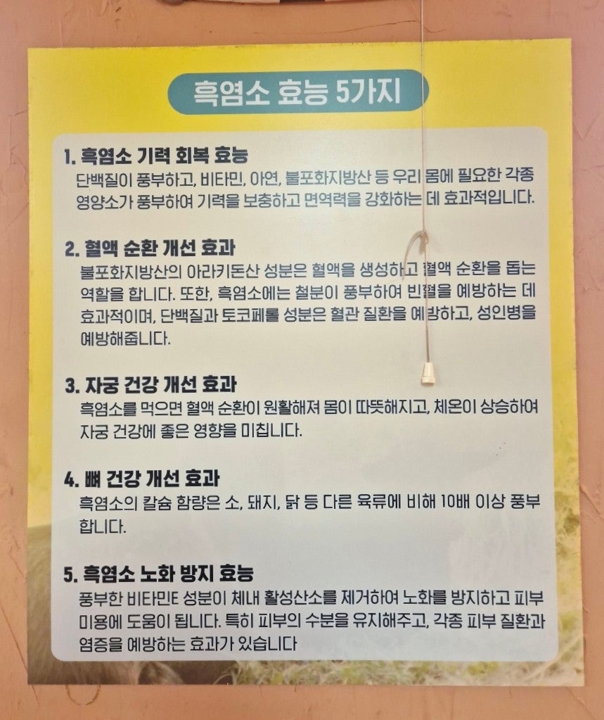 찐흑염소 도마수육 본점 사진 6