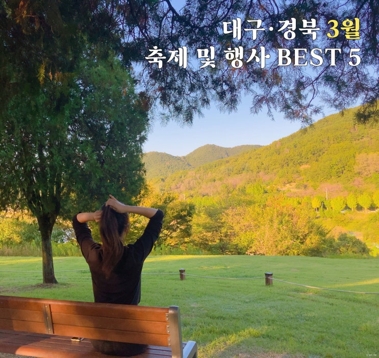  2026년 3월 대구·경북 축제 가볼만한곳 BEST 5