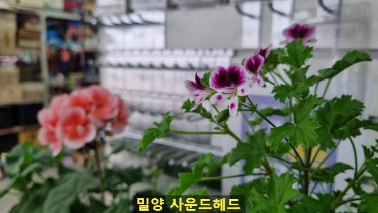  겨우내 꽁꽁 얼었던 내 차 블랙박스, 봄나들이 전 '이것' 안 챙기면 낭패 봅니다! (해빙기 필수 점검 4가지)[밀양 사운드헤드]