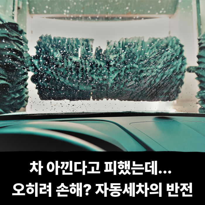  차 아낀다고 피했는데... 오히려 손해였다는 자동세차의 반전