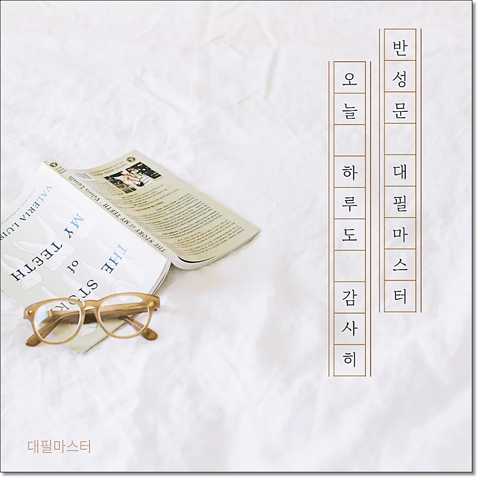 음주운전양형자료 재범방지교육센터 필요할까