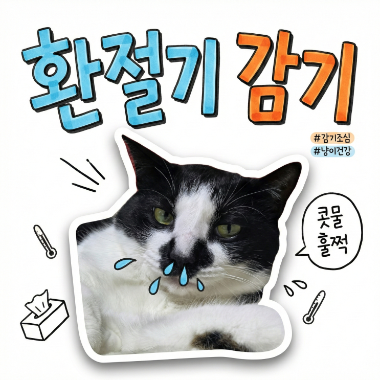  고양이 재채기, 콧물 날릴 때 감기약보다 중요한 3가지 (엘라이신 vs 유산균)
