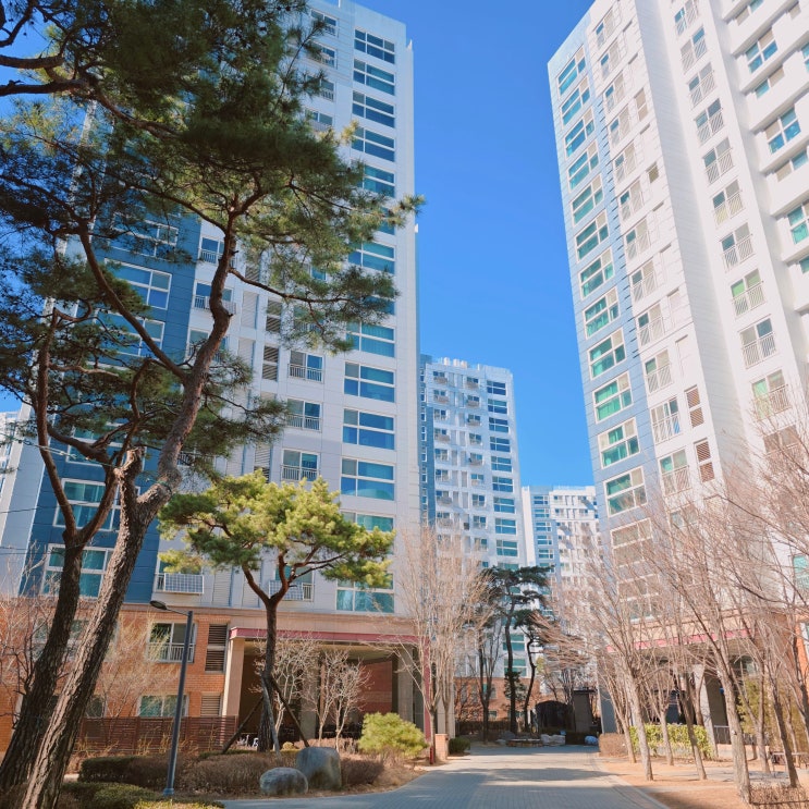  마곡 아파트 임장 후기 마곡엠밸리6단지 34평 시세변화 입지 분석