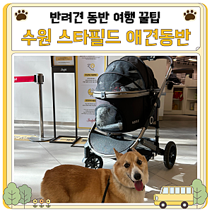 수원 스타필드 애견동반 식당 카페 유모차 대여 정보 총정리