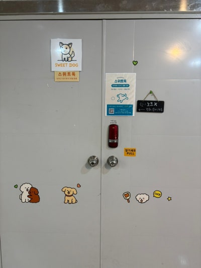 사진 3