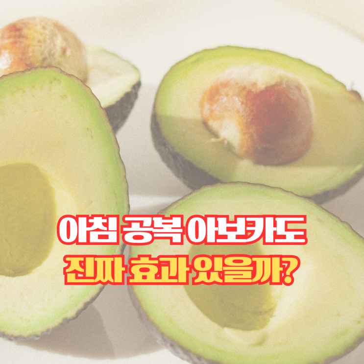  아침 공복 아보카도 먹으면 좋은 이유 6가지, 이렇게 먹어야 효과적