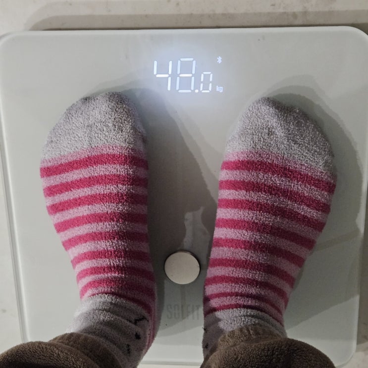  산후 다이어트 방법 후기 몸무게변화