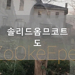 솔리드옴므코트 도 남자 패딩 브랜드 중 하나로 딱인 제품