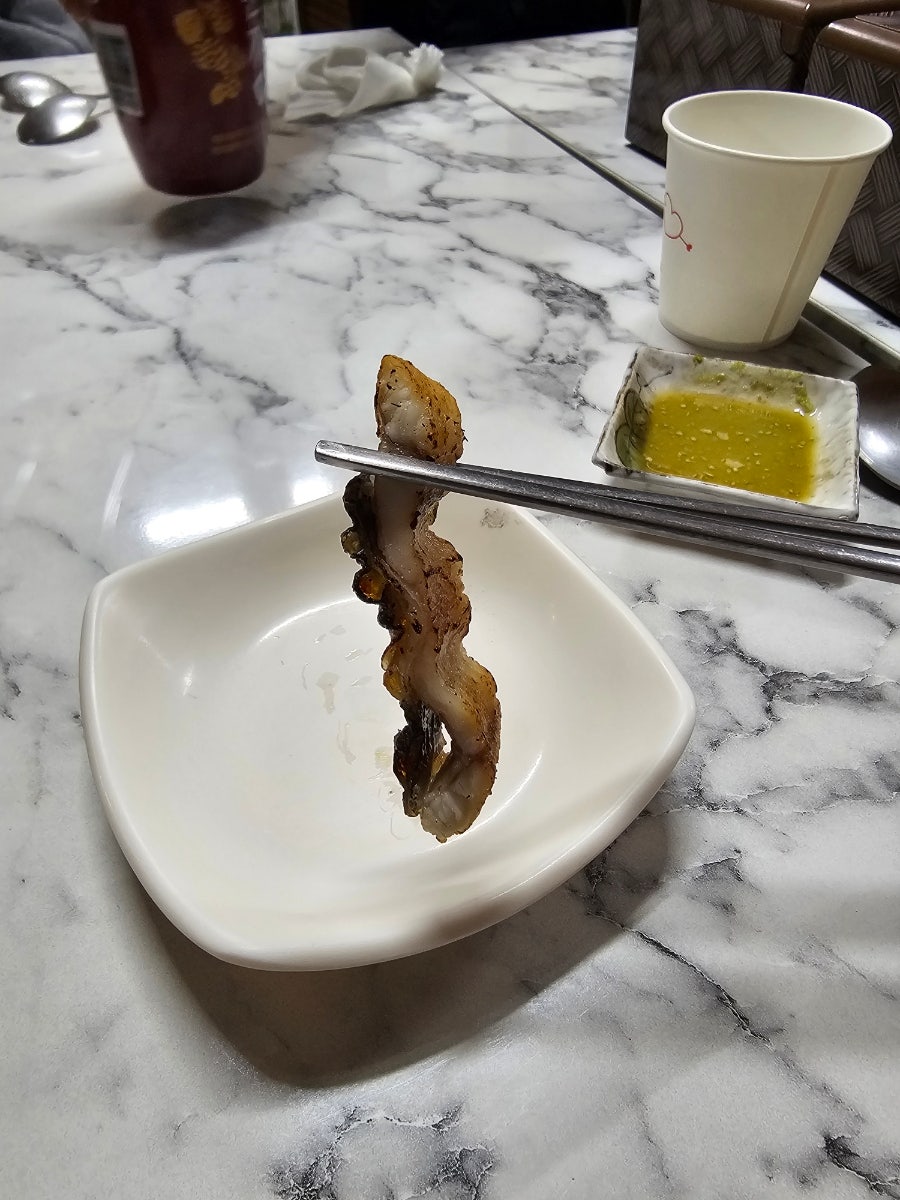 대성장어 사진 6