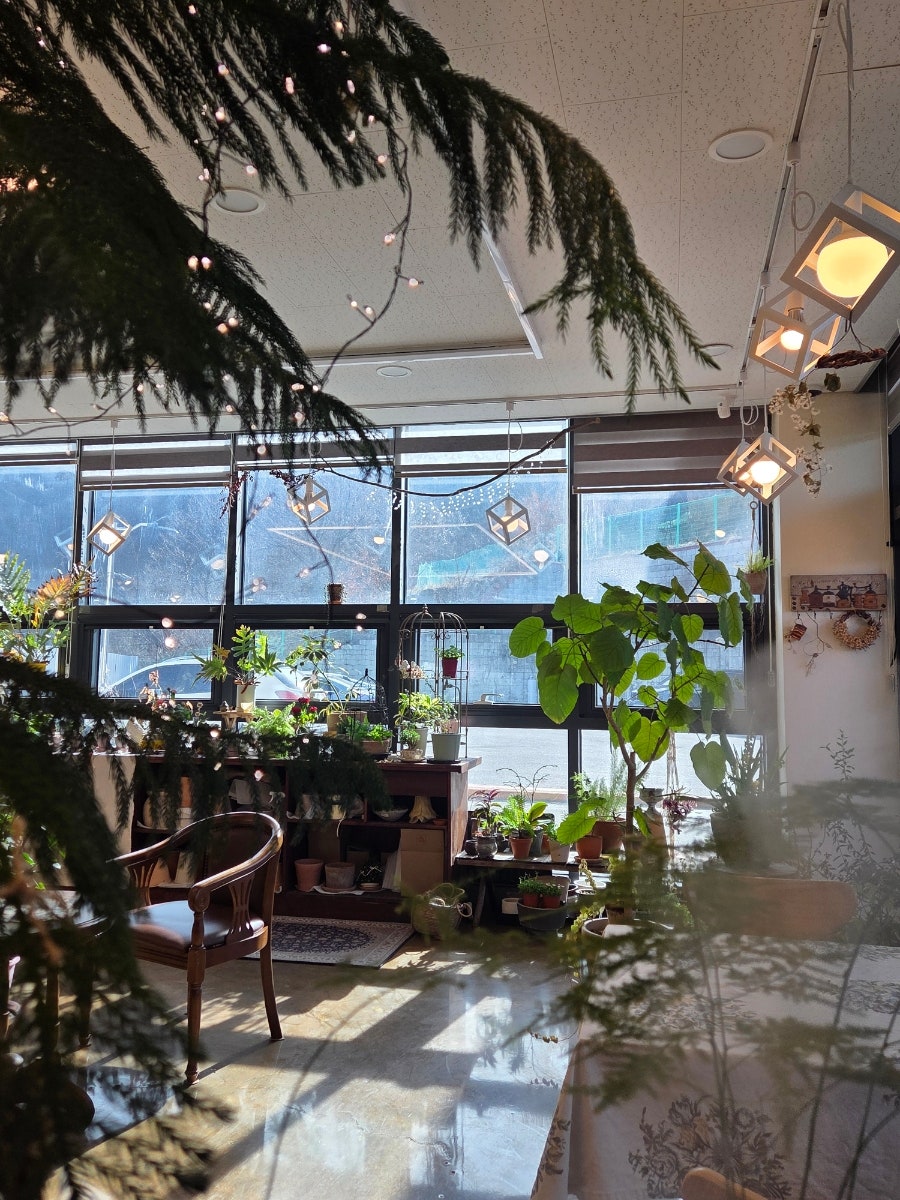 로즈바인 사진