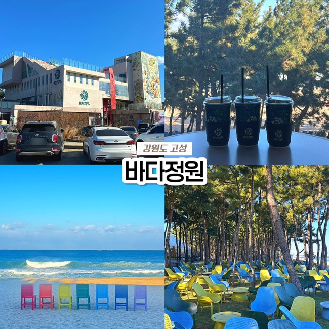  강원도 고성 속초 대형 오션뷰 카페 추천, 베이커리 카페 바다정원