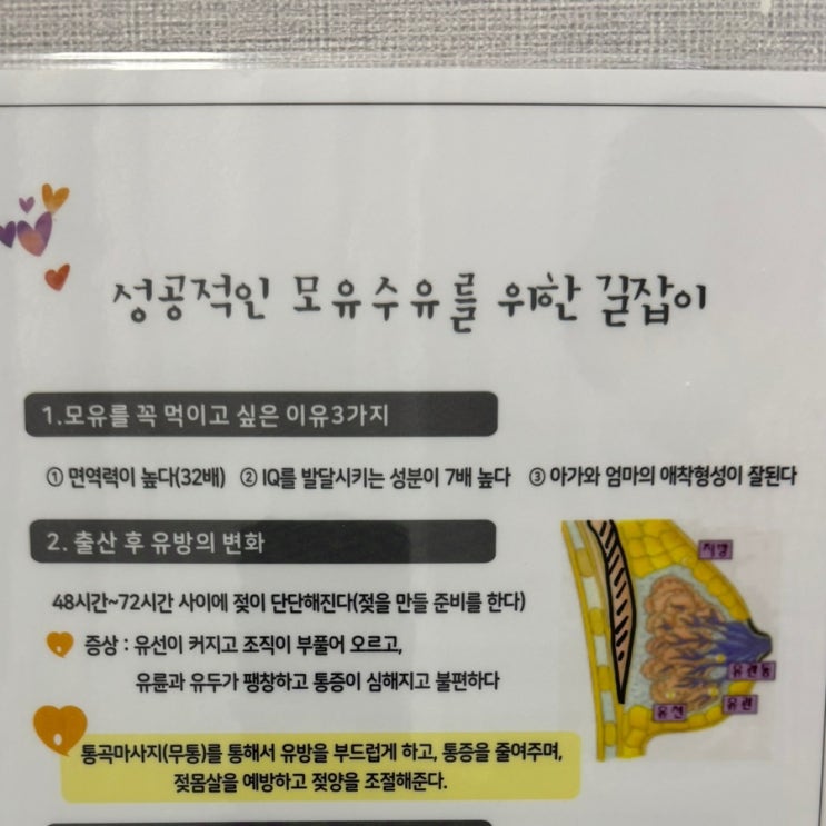  단단한 유두 모유수유 성공기 청화 통곡마사지실 추천템 공유