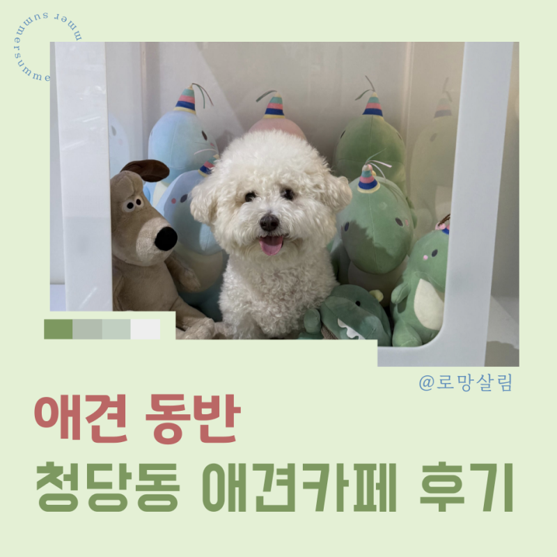 멍마일 — 천안시