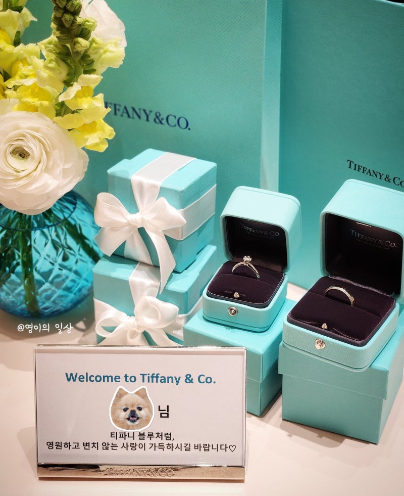 티파니앤코 웨딩밴드 밀그레인 다이아 반지 프로포즈링 졸업 후기