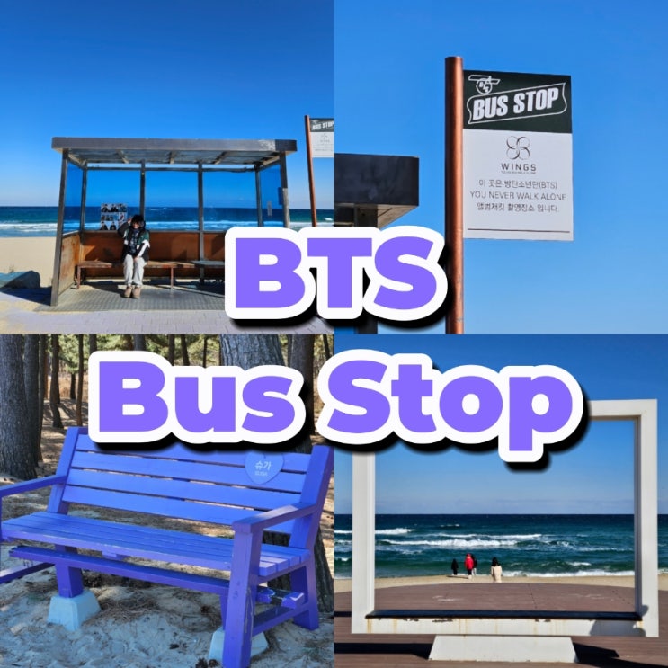  강릉 가볼만한곳 향호해변 BTS 버스 정류장 주문진해수욕장
