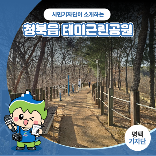 사진 4