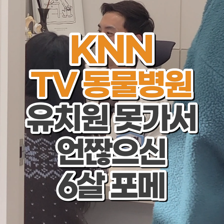  권도형 대표원장 KNN TV동물병원 새해 첫 촬영 소식 부산 닥터펫동물의료센터 6살 포메라니안 신경계 동물병원