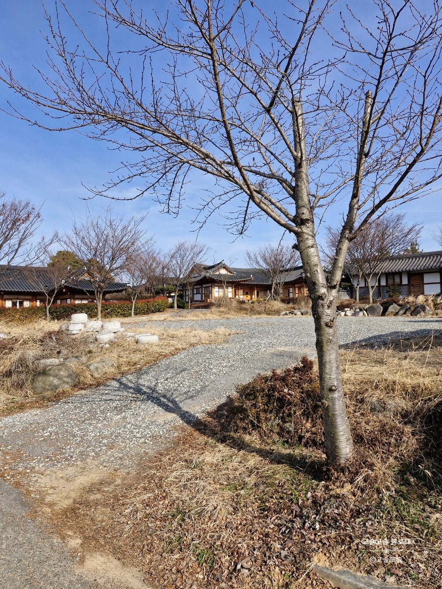 서쪽하늘한옥펜션 사진 5