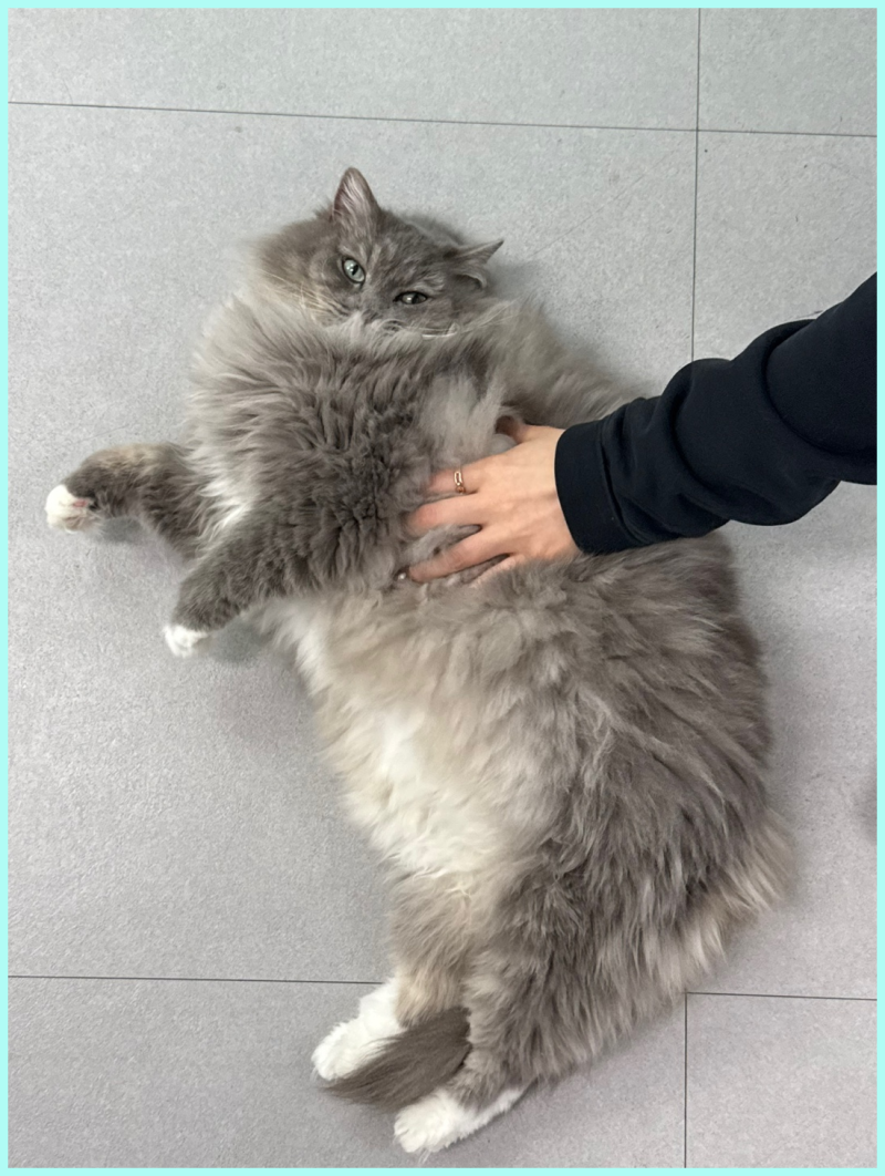 사진 6