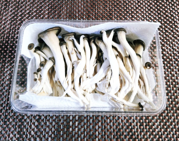  느타리버섯 보관법 냉장 냉동 보관기간 5일 신선하게 유지하는 방법