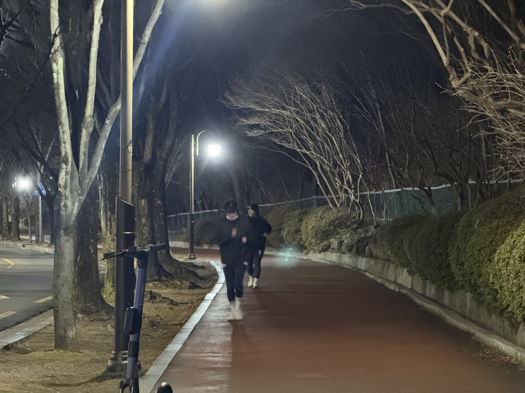  아직 안 죽었다!
