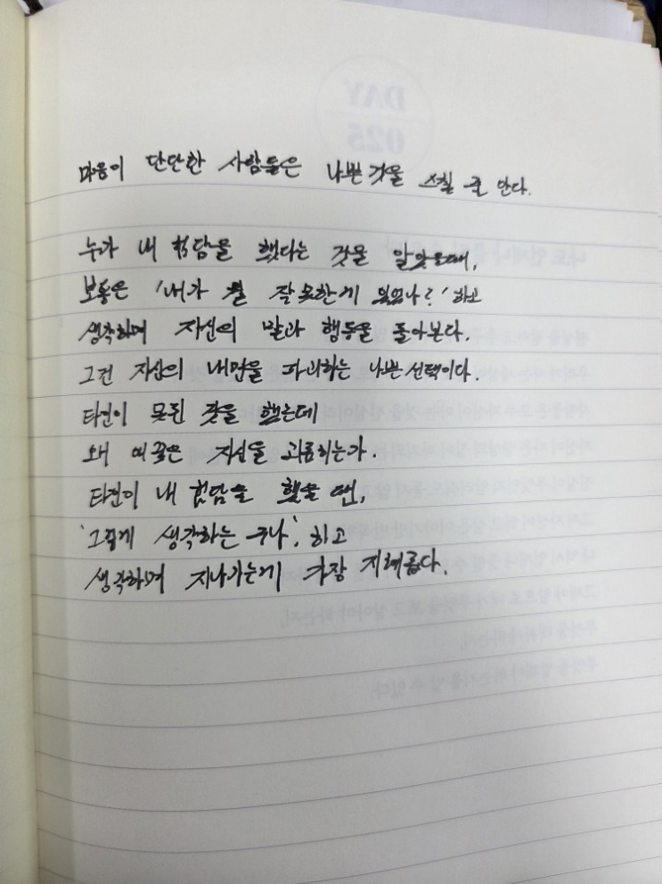  [100일 필사노트] 마음이 단단한 사람들은 나쁜 것을 스칠 줄 안다