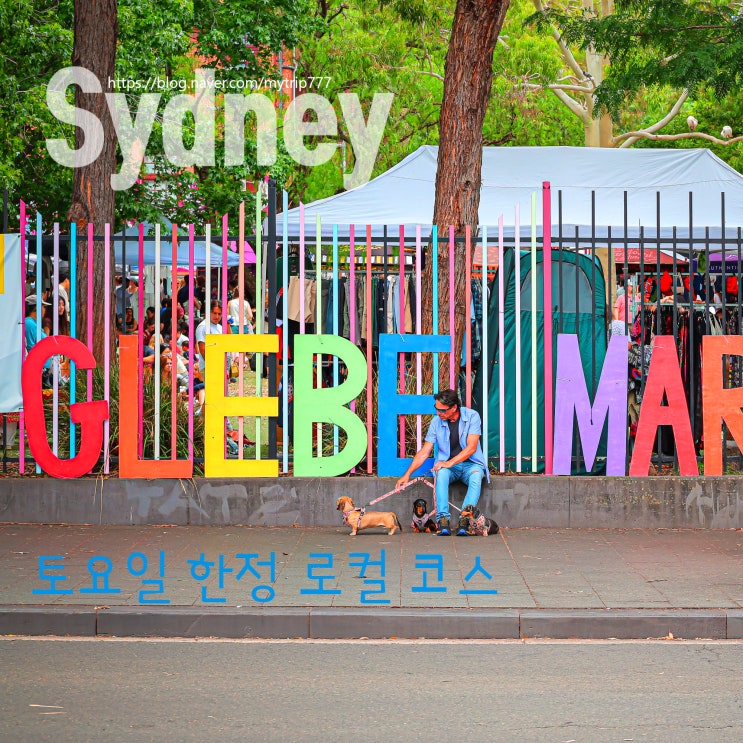  시드니 로컬 마켓 추천 | Glebe & Glebe Markets 주말 감성 투어 가이드