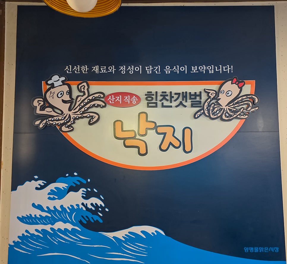 힘찬갯벌낙지 사진 3