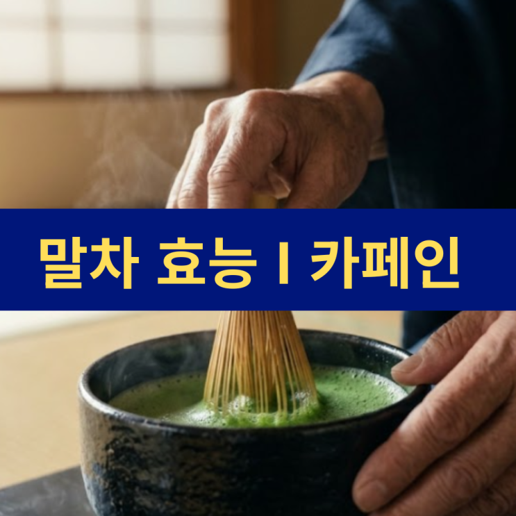  말차 효능 효과 7가지 | 말차 카페인 함량