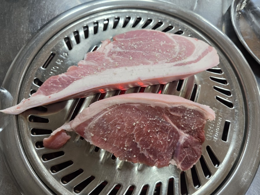 춤추는꽃돼지 사진 5