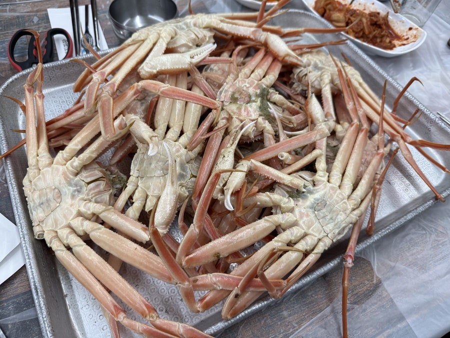 순양호영덕대게직판장 사진 3