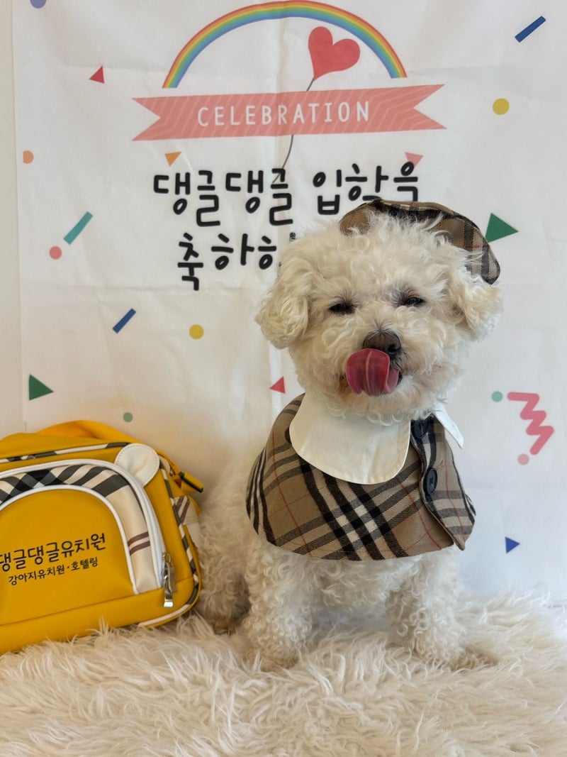 사진 7