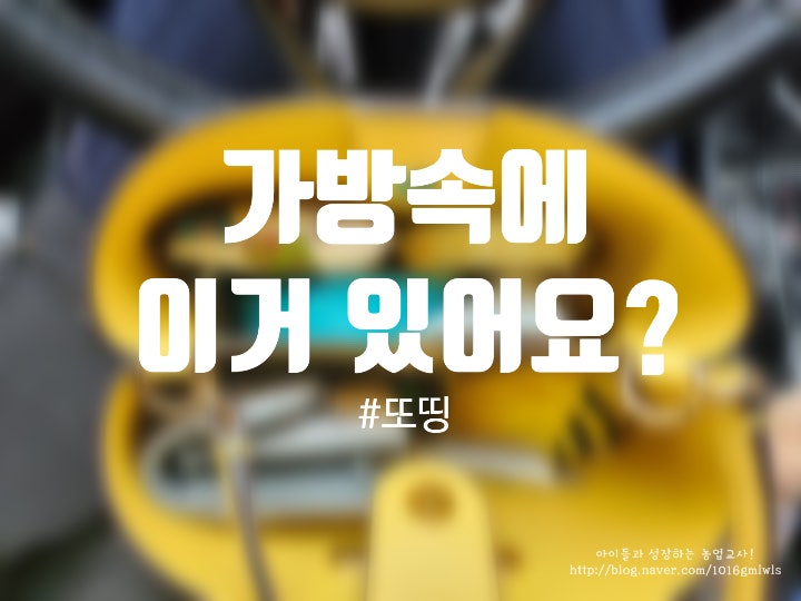 블로그 후기 사진