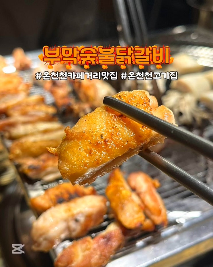  부산 온천천 카페거리 맛집 부막숯불닭갈비 닭수육전골 허벅생갈비 고기집
