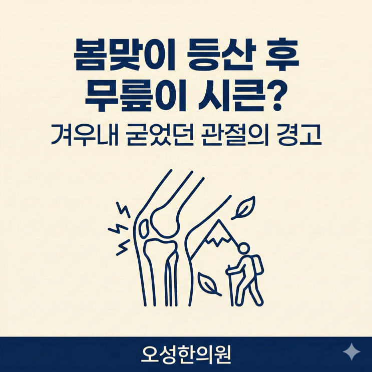  봄맞이 등산 후 무릎이 시큰, 겨우내 굳었던 관절이 보내는 경고