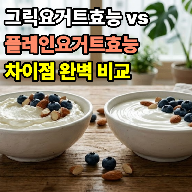 그릭요거트효능 vs 플레인요거트효능 차이점 완벽 비교